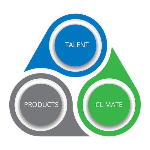 Graphic showing three pillars of our future strategy with the words talent, products and climate